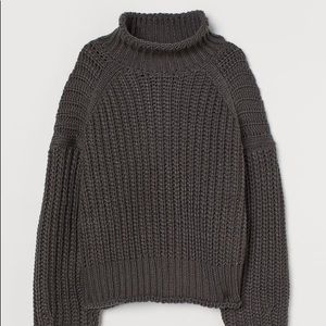 H&M Ribbed Turtleneck Sweater